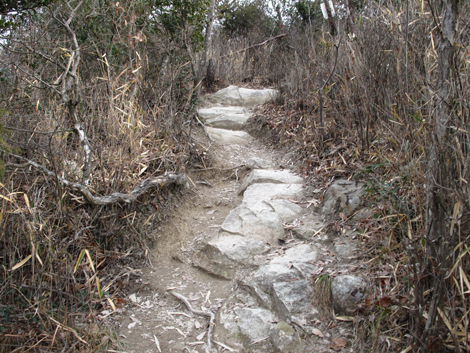 20140125hike (429)